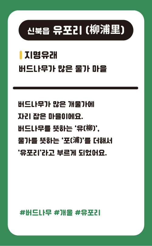 유포리